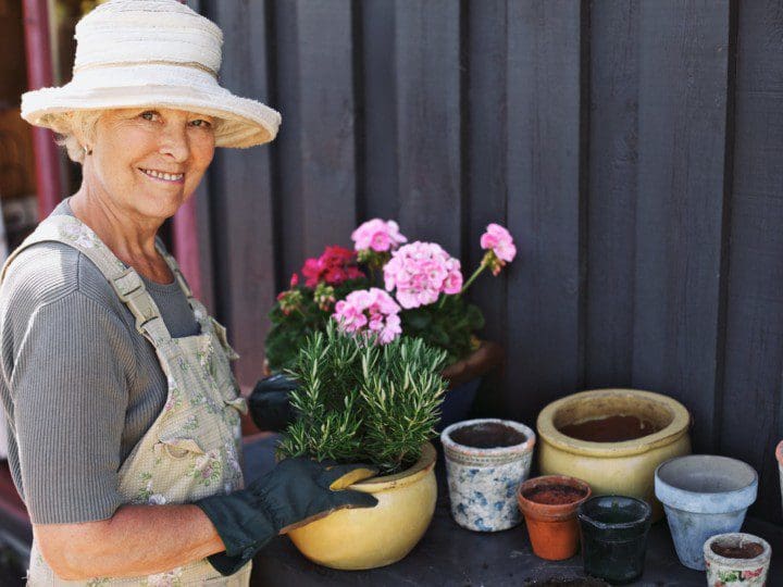 Elderly woman doing gardening