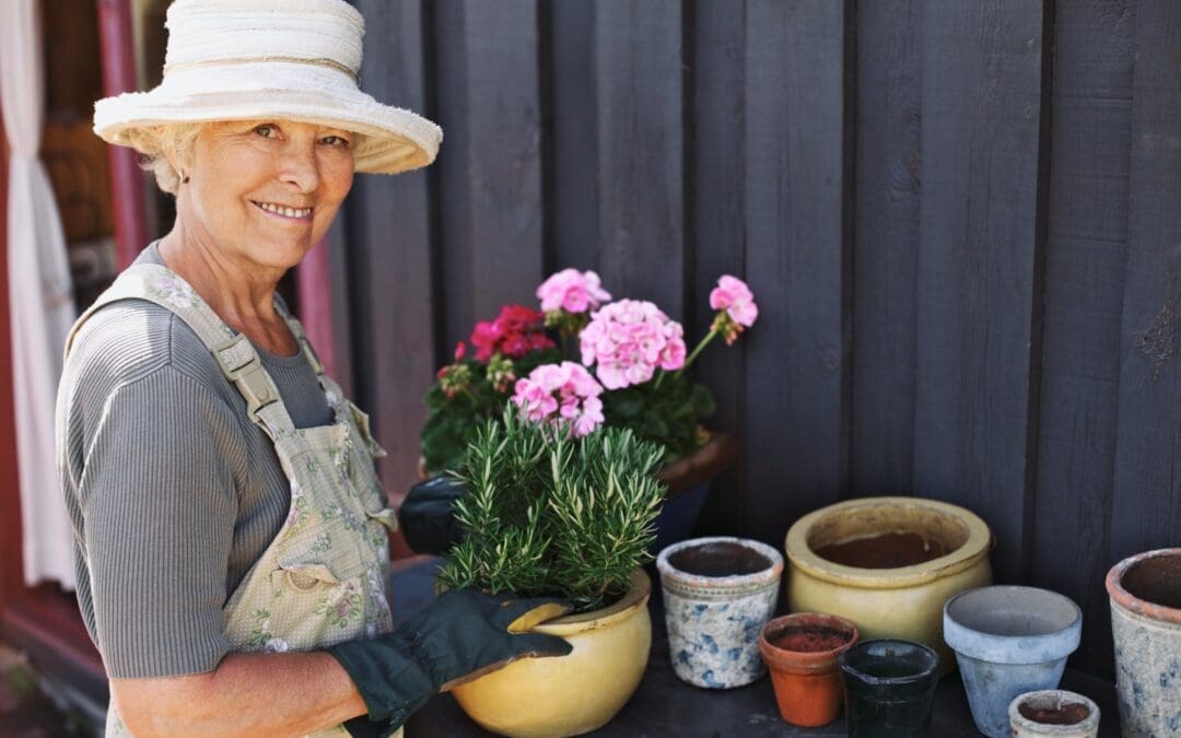 Retired lady potting some garden plants.